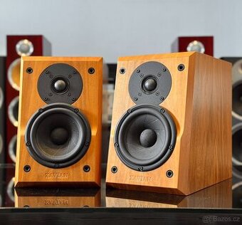 Xavian XN 250 Evoluzione Reproduktory