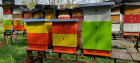Včelstva s úly