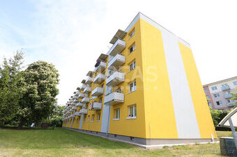 Milovice, pronájem bytu 2 + 1, 48 m2 s balkónem 2 m2 a sklep