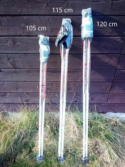Nordic walking hole Fizan NW PERFORMANCE carbon - 1