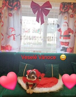 Stafordširský bulteriér