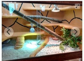 Luxusní nové terárium pro agamku 120x50x50 cm