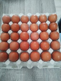 Prodám vajíčka