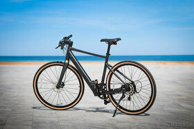 Elektrokolo FIIDO Gravel C21