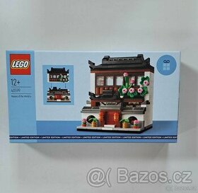 LEGO House of the world 40599