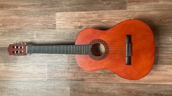 kytara stagg - 1