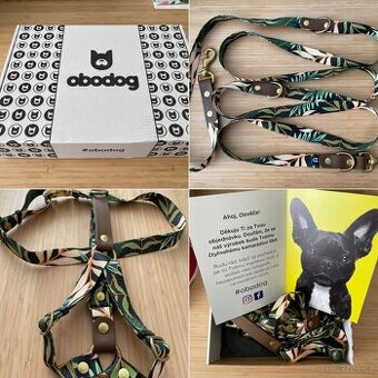 NOVÉ Obodog vodítko a postroj Jungle (PC 2050 KČ)