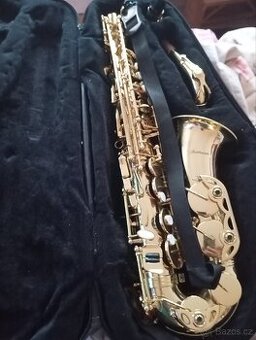 Saxsafon , stojany - 1