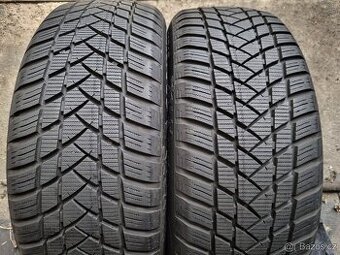 Zimní pneumatiky GT Radial 205/55 R16 91T