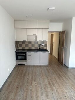 Byt k pronájmu 2+kk (50,8 m2) - 1