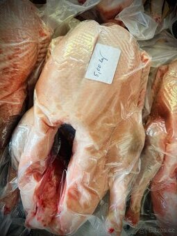 Svatomartinské husy