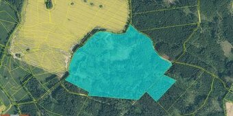 Prodej lesa Klisín 15,4293ha - 1