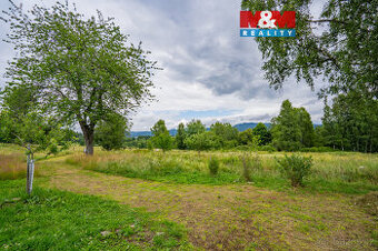 Prodej pozemku k bydlení, 2451 m², Ovesná - Nová Pec