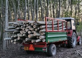 Palivové dřevo měkké - 1