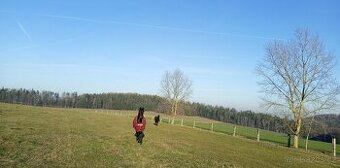 Pastevní ustájení koní - 35 km od Prahy u D1- Vodslivy