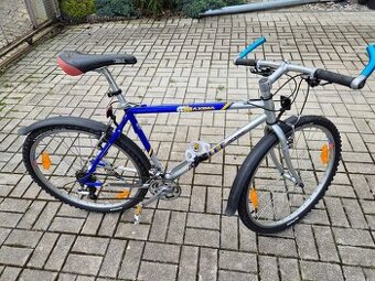 AMULET MAXIMA 19" - 1