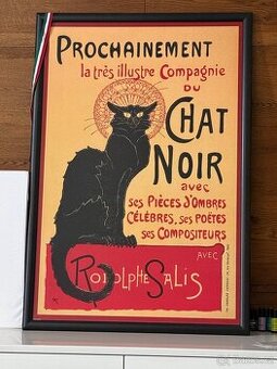 Obraz Chat Noir