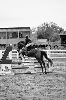 Nabízím k pronájmu - 1