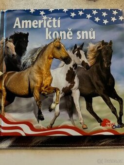 Američtí koně snů