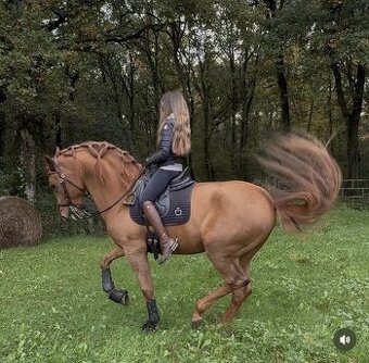 Ježdění