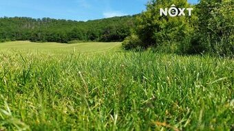 Prodej pozemek Lesy, 3149㎡ - 1
