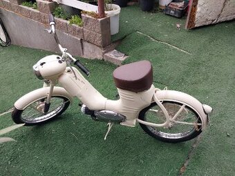 Jawa 550 pařez - 1