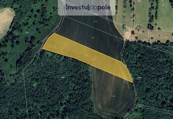 Prodej pole v k.ú. Marefy