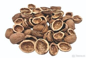 Skořápky vlašských ořechů