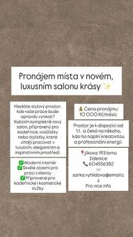 Pronájem kadeřnického křesla - 1