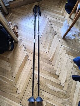 Hůlky na běžky 135cm