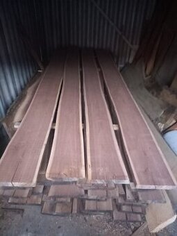 Americký ořech / ořešák černý