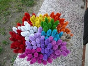 Barvené bodláky - krásně syté barvy