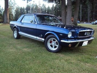Ford Mustang 1966 289 V8 - 1