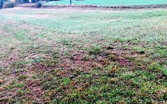 Prodej komerční parcely 9.900 m2
