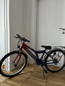 Dětské kolo 24