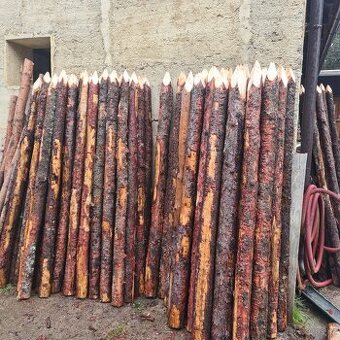 Kůly na oplocení - modřín 