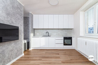 Pronájem bytu 1+kk, ul. Bruzovská, Frýdek-Místek