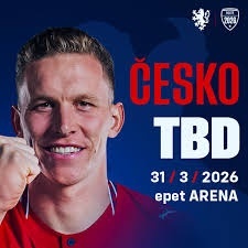 Česko - Dánsko 2 lístky