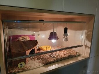 Terarium