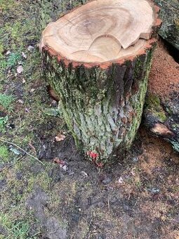 Prodám dubový špalek.