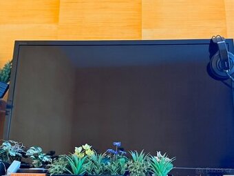Sony Bravia