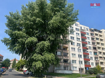 Prodej bytu 3+1, 71 m², Písek, ul. Vinařického