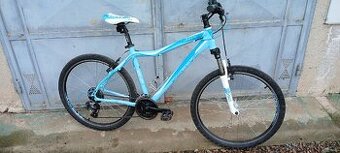 Kellys Vanity 20