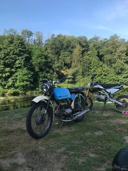 Jawa mustang
