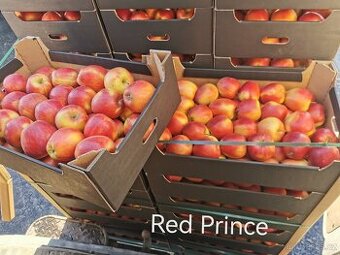 Jablka Prince