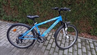 Leader Fox, chlapecké kolo