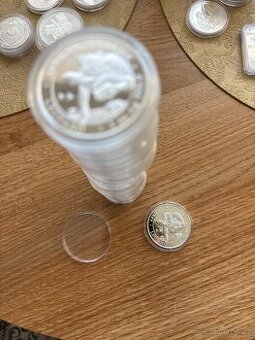 Stříbrná mince 100 Shillings - 1 Oz 2020 - Leopard