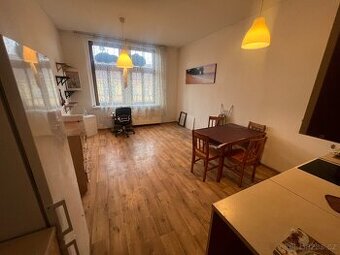 Zařízené 2+kk na Sokolovské, ihned volné,  i pro cizince