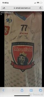 Dres a hokejka richard nedomlel