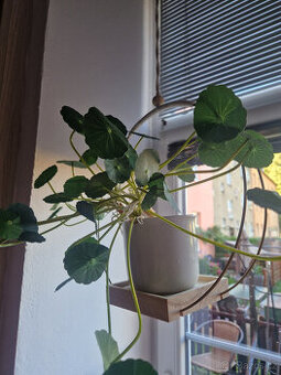 Závěs na květiny - styl BOHO